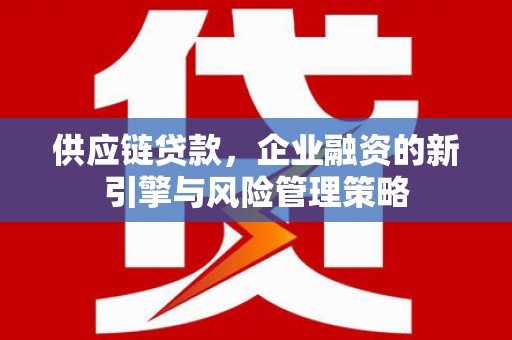 青龙供应链贷款，企业融资的新引擎与风险管理策略