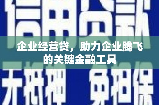 青龙企业经营贷，助力企业腾飞的关键金融工具