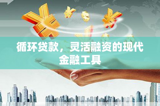 青龙循环贷款，灵活融资的现代金融工具