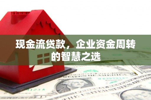 青龙现金流贷款，企业资金周转的智慧之选