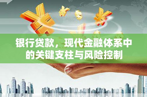 青龙银行贷款，现代金融体系中的关键支柱与风险控制
