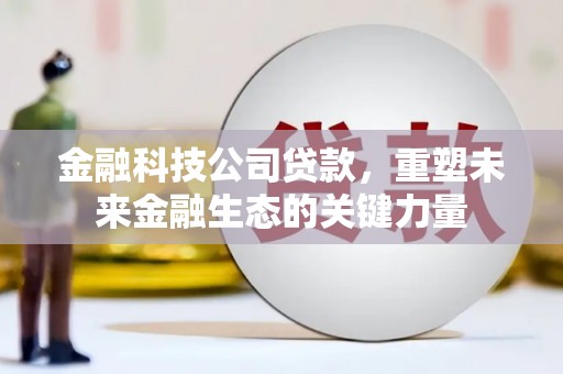 青龙金融科技公司贷款，重塑未来金融生态的关键力量