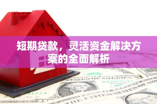 青龙短期贷款，灵活资金解决方案的全面解析