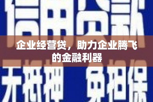 青龙企业经营贷，助力企业腾飞的金融利器