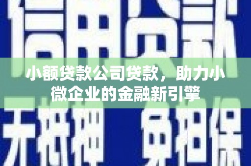 青龙小额贷款公司贷款，助力小微企业的金融新引擎
