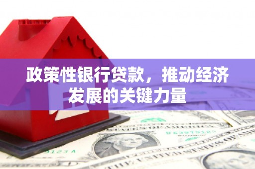 青龙政策性银行贷款，推动经济发展的关键力量