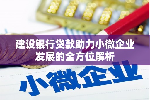 青龙建设银行贷款助力小微企业发展的全方位解析