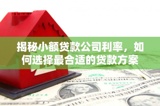 青龙揭秘小额贷款公司利率，如何选择最合适的贷款方案
