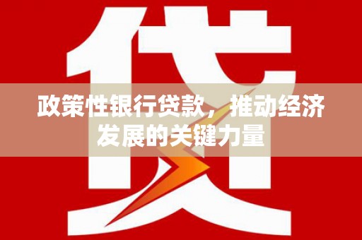 青龙政策性银行贷款，推动经济发展的关键力量