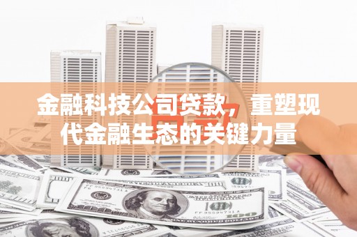青龙金融科技公司贷款，重塑现代金融生态的关键力量