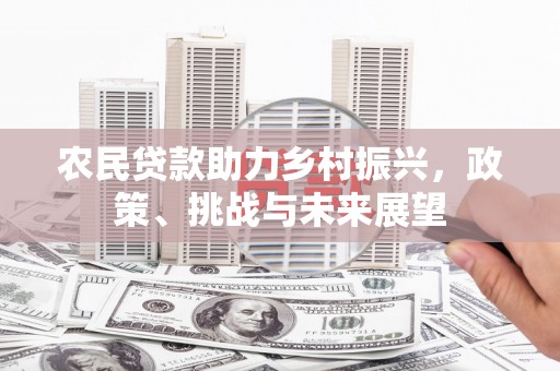 青龙农民贷款助力乡村振兴，政策、挑战与未来展望