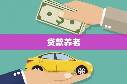 青龙贷款养老