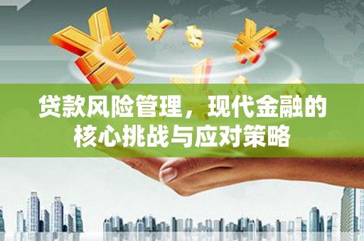青龙贷款风险管理，现代金融的核心挑战与应对策略
