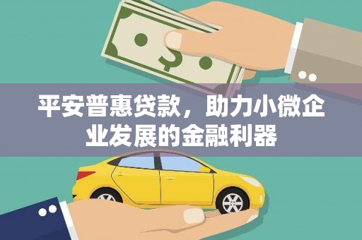 青龙平安普惠贷款，助力小微企业发展的金融利器