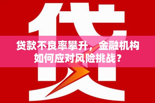 青龙贷款不良率攀升，金融机构如何应对风险挑战？