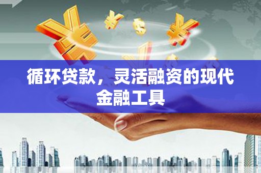 青龙循环贷款，灵活融资的现代金融工具