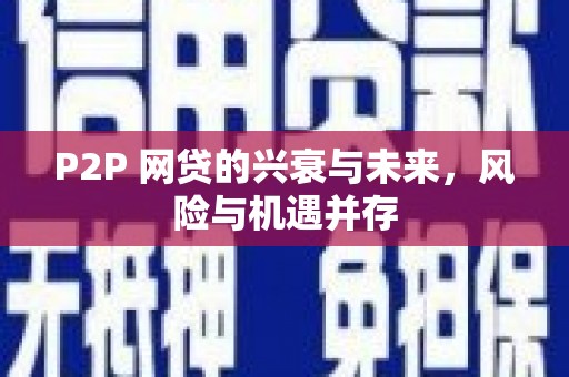 青龙P2P 网贷的兴衰与未来，风险与机遇并存
