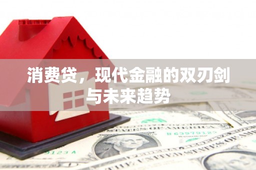 青龙消费贷，现代金融的双刃剑与未来趋势