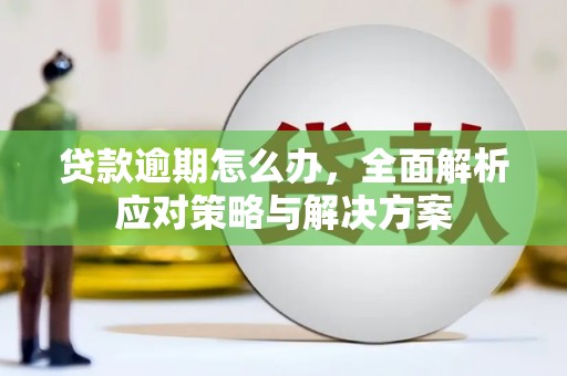 青龙贷款逾期怎么办，全面解析应对策略与解决方案